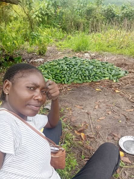 Promotion de l'Entrepreneuriat des Jeunes  : PEJ